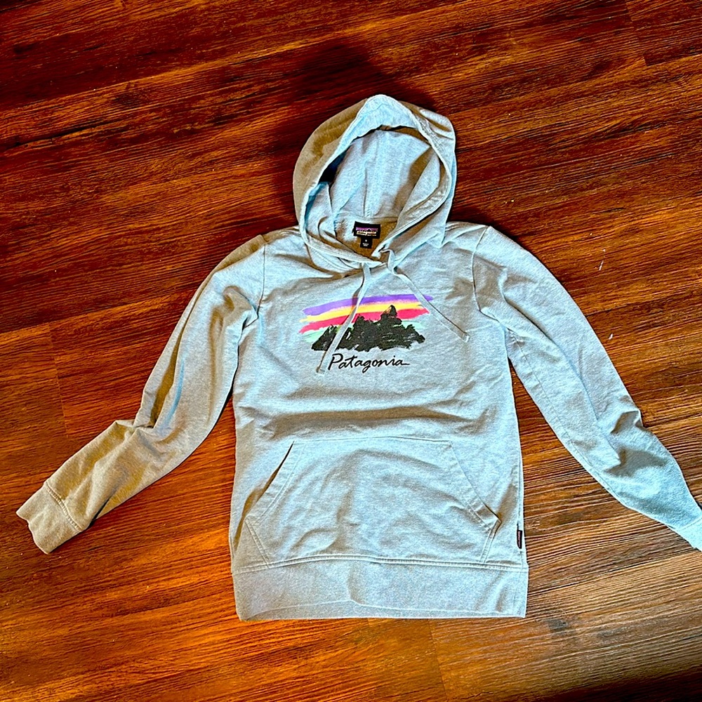 Patagonia organic cotton hoodie sweatshirt